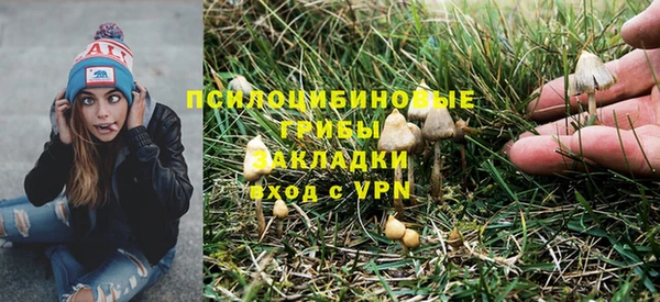 ПСИЛОЦИБИНОВЫЕ ГРИБЫ Алексин